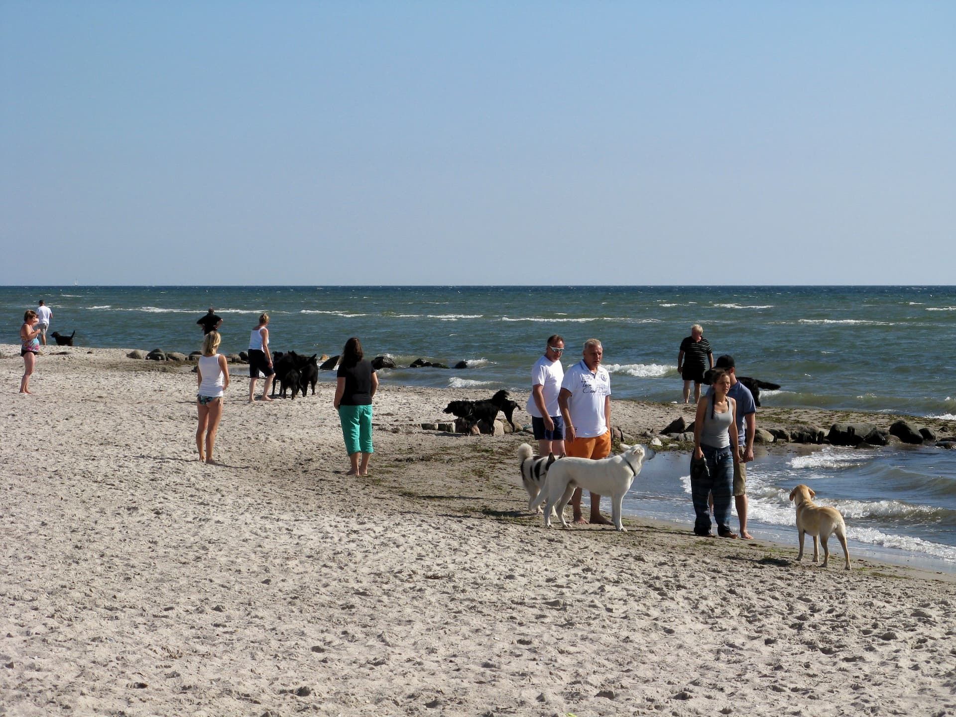 Mehrere Menschen spazieren mit ihren Hunden am Hundestrand von Grömitz entlang. Die Sonne scheint, das Meer rauscht, und die Hunde tollen frei im Sand – ideal für einen entspannten Urlaub mit Hund an der Ostsee.